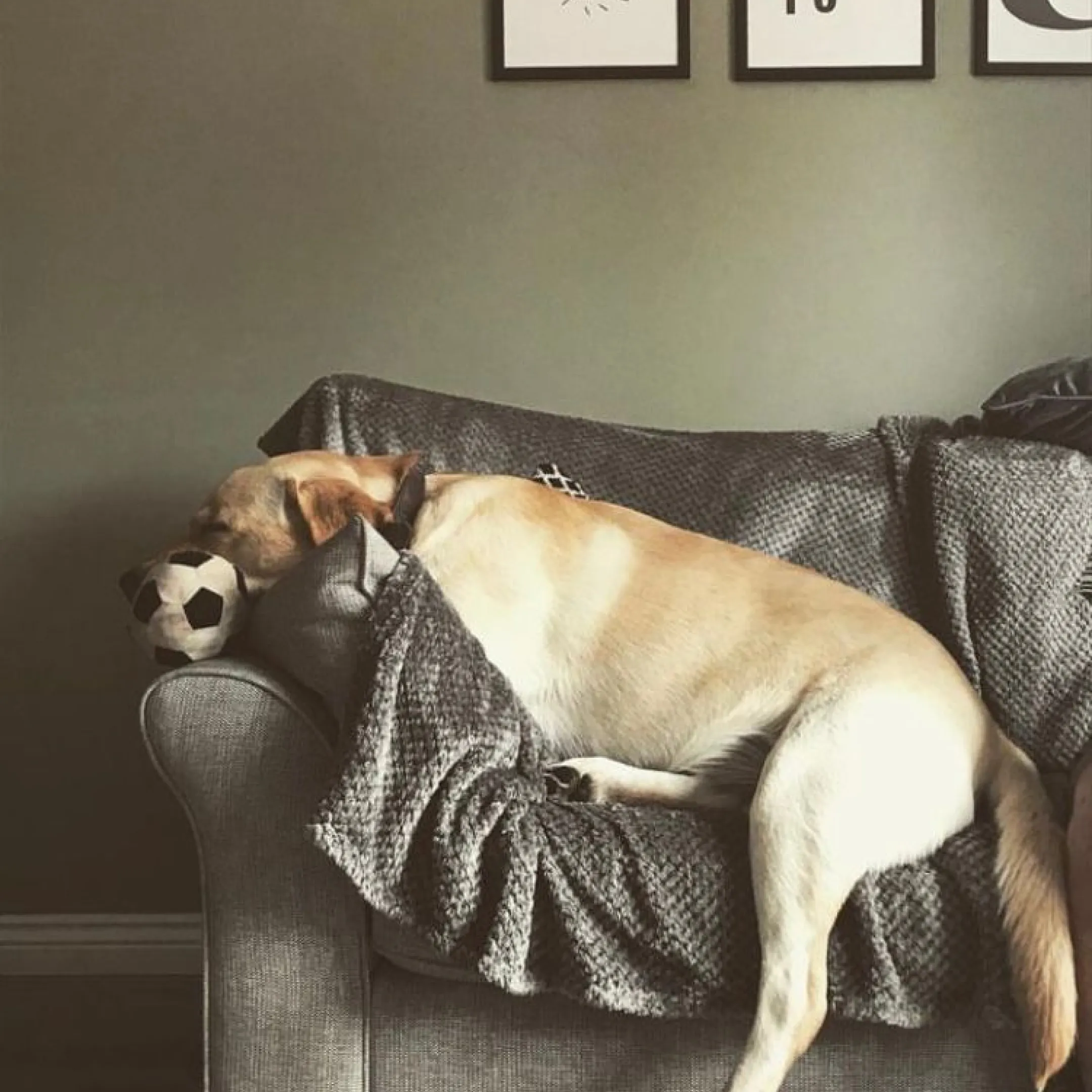 Green Living Room Feature Wall